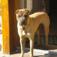 Photo #181124 de Daivy