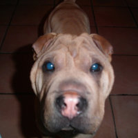 Photo #181127 de Daivy