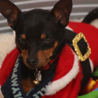 Photo #181142 de Blacky