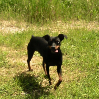 Photo #181146 de Bobbi