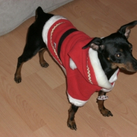 Photo #181154 de Bobbi