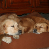 angel et sa femme asta luego baby