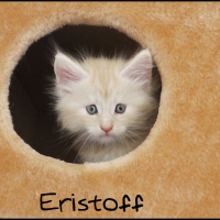 Photo #181177 de Eristoff