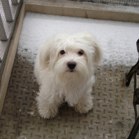 en hivers je decouvrais la neige ouaw !!!