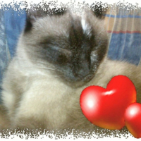 Photo #181336 de Mimine