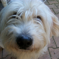 Photo #181349 de Lucky