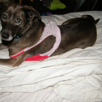 Photo #181394 de Talou
