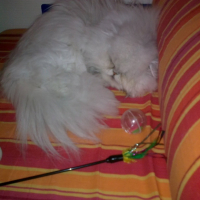 sur mon fauteuil