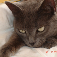 Photo #181413 de Mimi