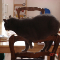 Photo #181415 de Mimi
