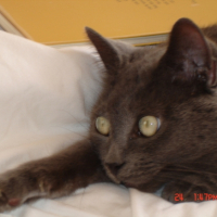 Photo #181416 de Mimi