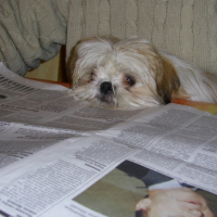 Photo #181418 de Berinis
