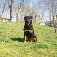 Photo #181437 de Démon
