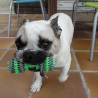 Photo #181463 de Curt