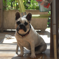 Photo #181469 de Curt