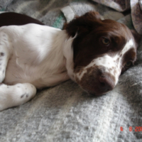 Photo #181483 de Eclaire