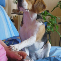 Photo #181488 de Vanille