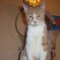 Photo #181489 de Toutoune