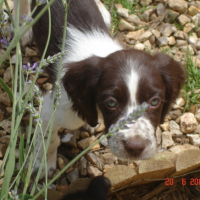 Photo #181493 de Eclaire
