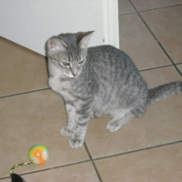 Photo #181497 de Nala