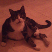 Photo #181525 de Loulou