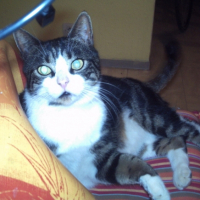 Photo #181526 de Loulou