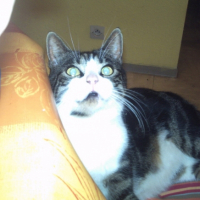 Photo #181528 de Loulou