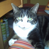 Photo #181536 de Loulou