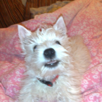 Photo #181617 de Filou