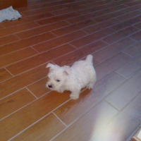 Photo #181620 de Filou