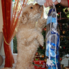 zozo et c cadeaux