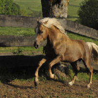 Photo #181673 de Practisse