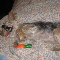 Photo #181680 de Kiria