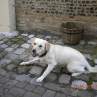 Photo #181686 de Breizh