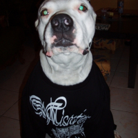 Photo #181734 de Fanny