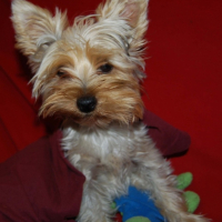 Photo #181787 de Lhuna