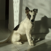 Photo #181869 de Easy