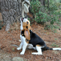 Photo #181883 de Nala
