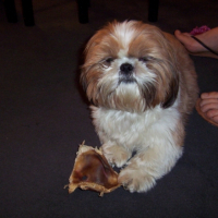 Photo #181885 de Vasko