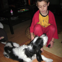 Photo #181898 de Rasta