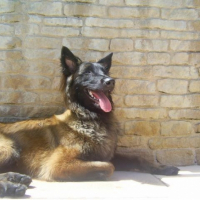 Photo #181996 de Chana