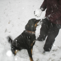 Payton et la neige 3