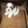 mon pote