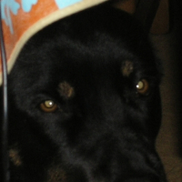 Payton et son beau regard