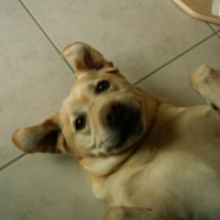 Photo #182221 de Ulan