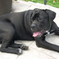 Photo #182222 de Elmut