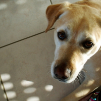 Photo #182228 de Ulan
