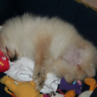 Photo #182232 de Athena