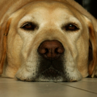 Photo #182237 de Ulan