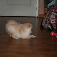 Photo #182238 de Athena